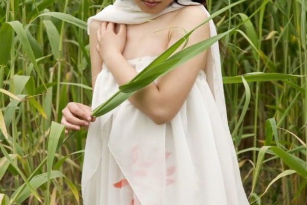 武汉茶馆大盘点：寻找最地道的茶文化体验